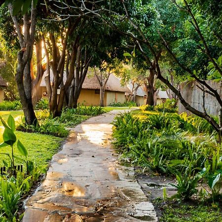 Namushasha River Campsite Kongola Ngoại thất bức ảnh