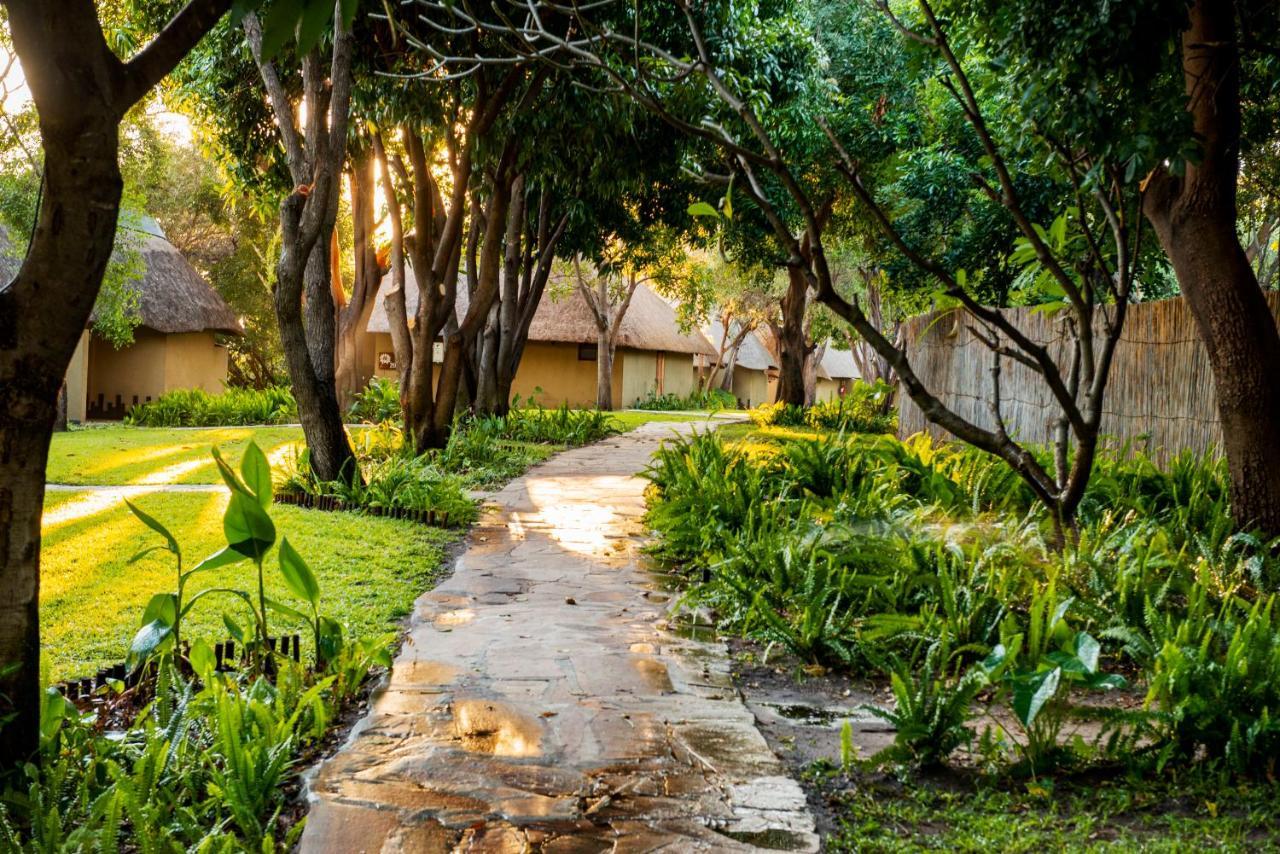 Namushasha River Campsite Kongola Ngoại thất bức ảnh